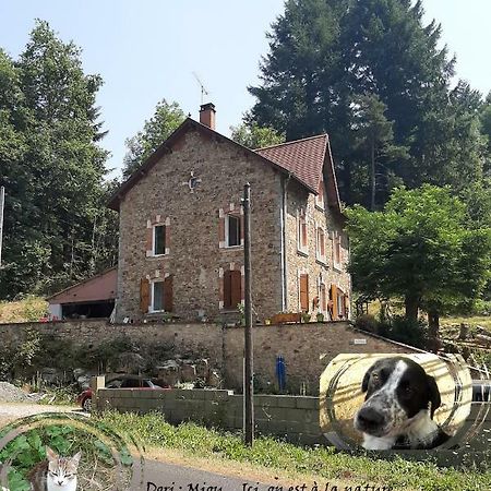 E Lu Chantauziau Apartamento La Monnerie-le Montel Exterior foto