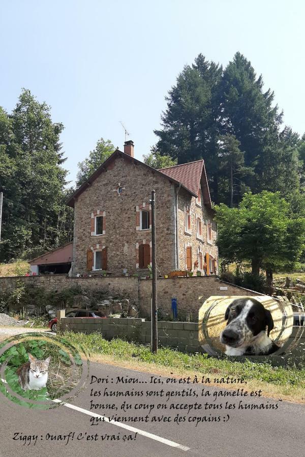 E Lu Chantauziau Apartamento La Monnerie-le Montel Exterior foto